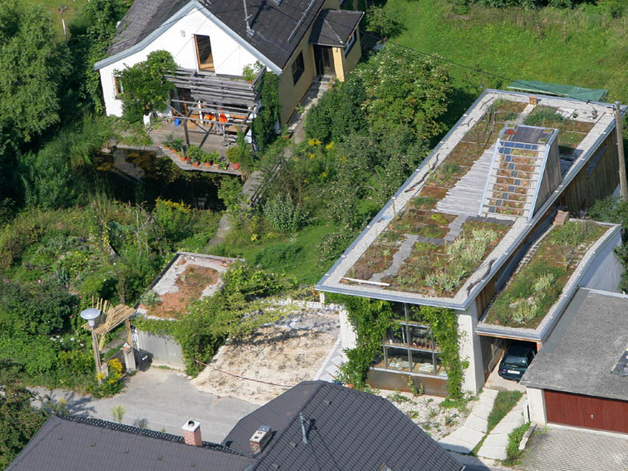 Hausgarten Tulpengasse