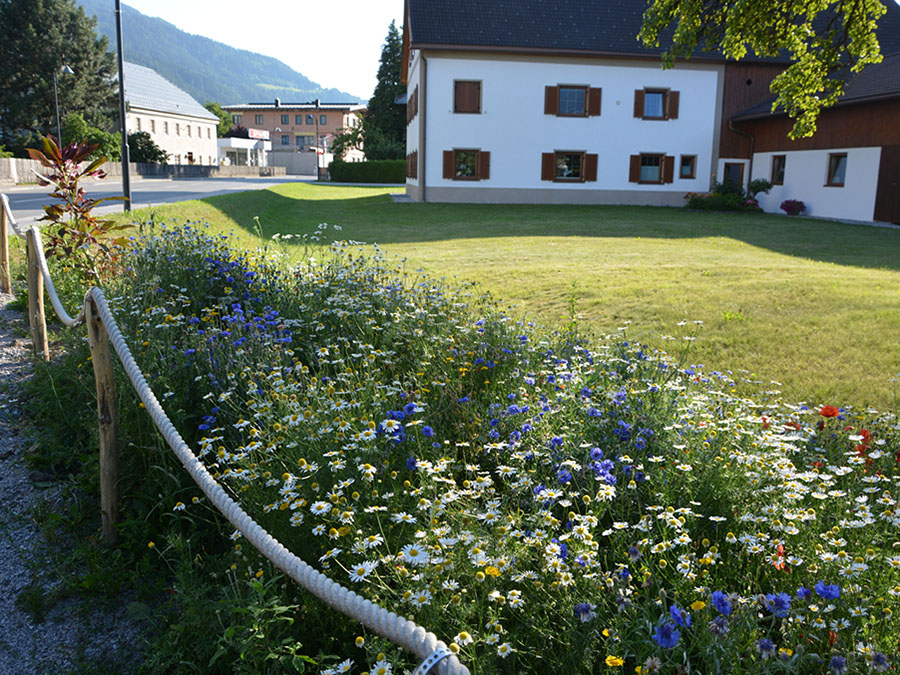 Blühflächen