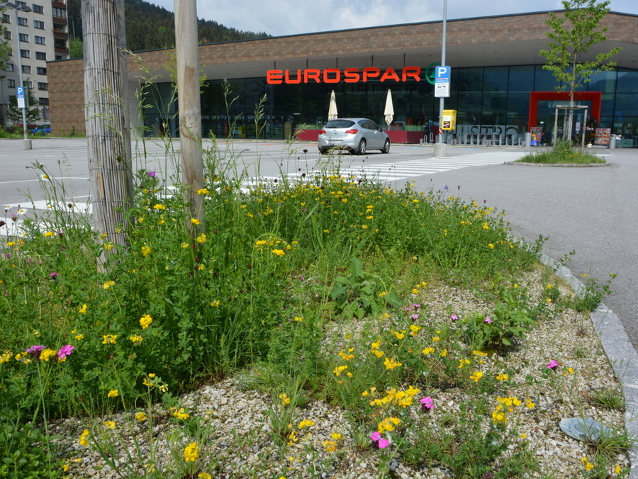 Eurospar Waidhofen an der Ybbs