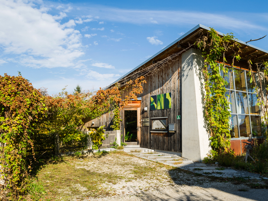 Bürohaus Tulpengasse