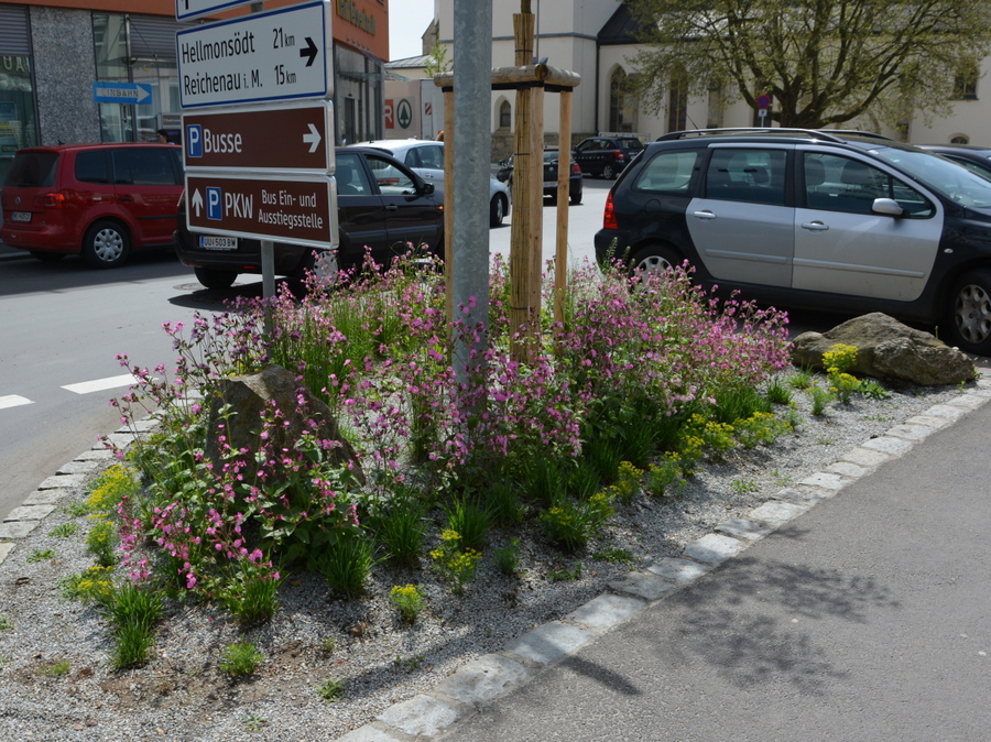 Pfarrplatz Gallneukirchen