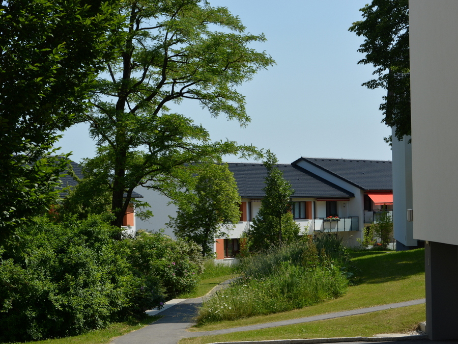 Schlühslmayrsiedlung