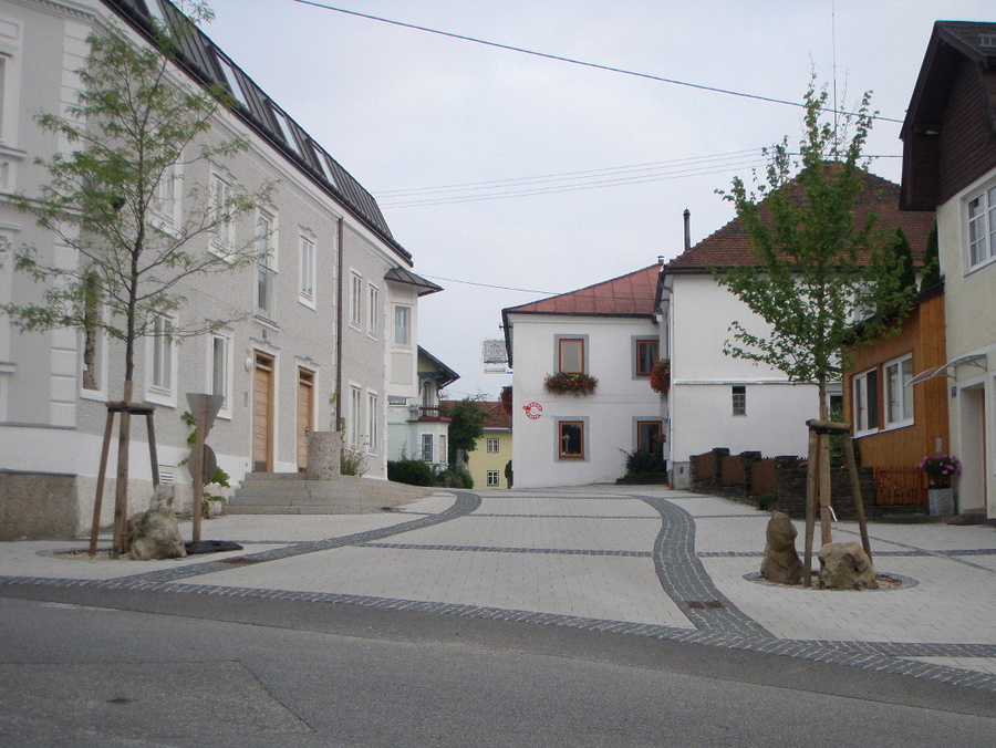 Shared Space Waldzell