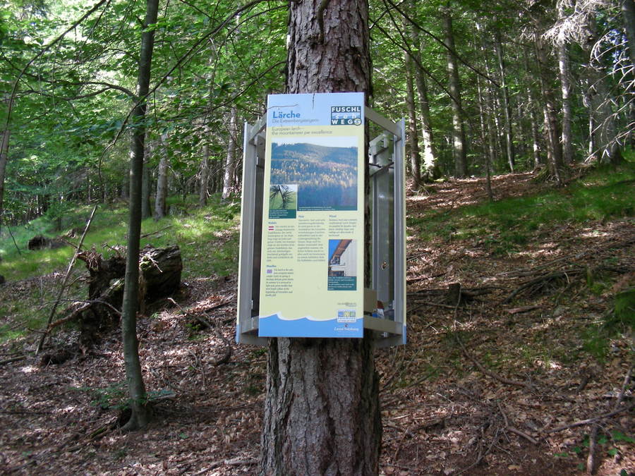 FUSCHLsehWEG
