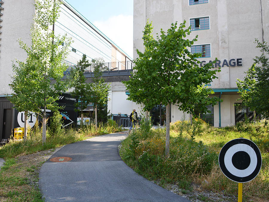 Grüne Lunge für die Tabakfabrik