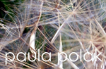 DI Paula Polak