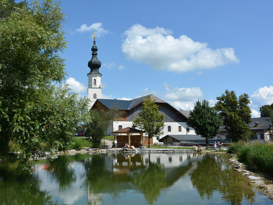 Naturteich Köstendorf