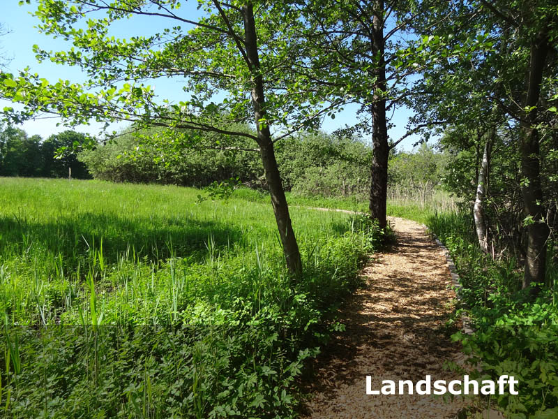 landschaft2